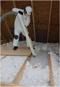 Photo: TAP Pest Control Insulation