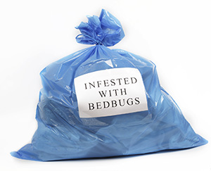 Bed Bug Trash. Photo by ©istock.com/-lvinst-