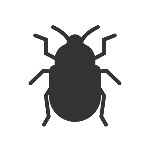 Bed Bug
