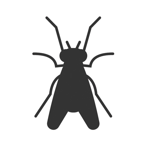 Fly