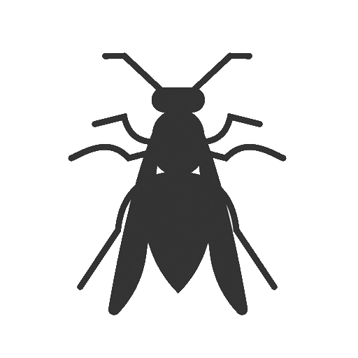 Stinging Insect