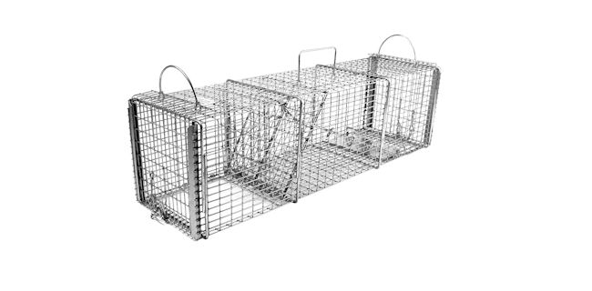 photo: Livetrap.com