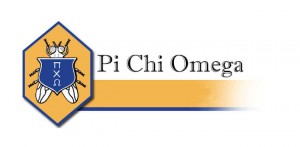banner: Pi Phi Omega