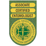 ACE logo