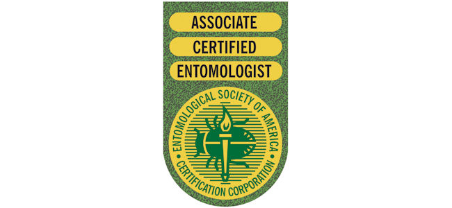 ACE logo