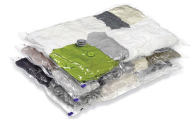 vacuumstorage How to Treat Purses for Bed Bugs?