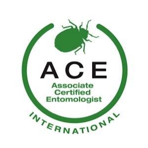 ACE International