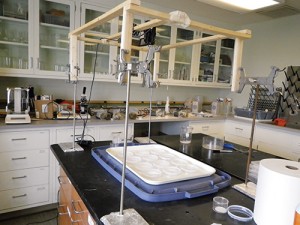 The laboratory video setup shown here  is for tracking bed bug movement.  Photo courtesy of The Ohio State University