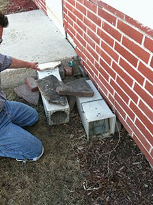 Skunk trap