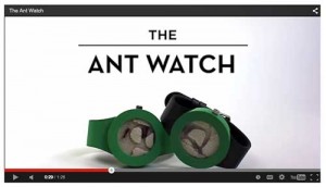 Analog Watch Co.