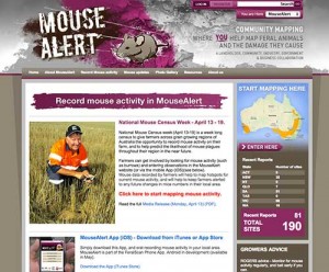 Mouse Alert