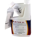 BITHOR jug
