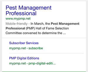 pmp-google-search