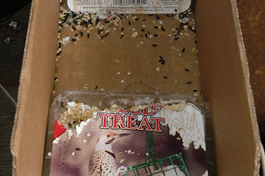 The Scoop on Mouse Poop : Pest Management Professional