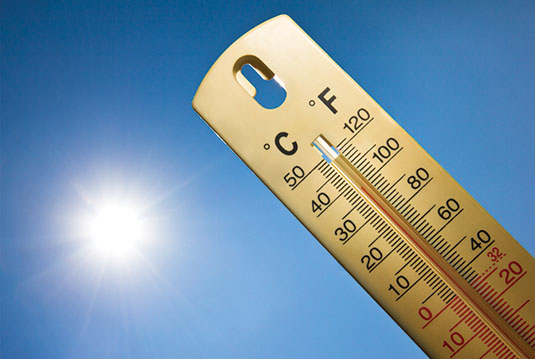 Photo: Istock.com/marccophoto
