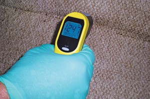 Bed Bug Treatment