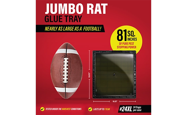 Graphic comparing Catchmaster Jumbo tray to a football