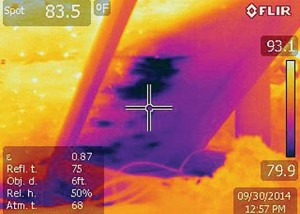 thermal imaging equipment allows Cadenhead techs to scan properties for moisture anomalies around windows, doors and roofs — before homeowners see any staining.