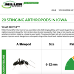 Miller Chart