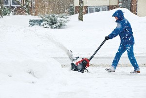 Photo: ©istock.com/Chiyacat