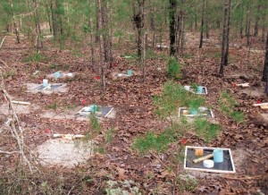 Figure 5. Freshly treated ground board and concrete slab plots, prior to concrete pouring. Photo: USFS