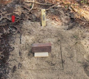 Figure 2. A freshly completed ground board plot. Photo: USFS