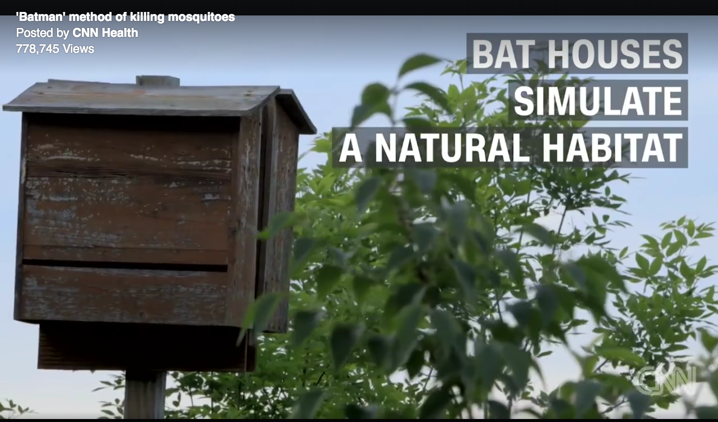 Clip & images via CNN Health