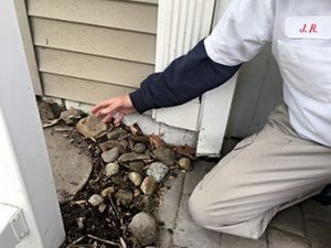 Walsh is glad to see rocks rather than pest-inviting mulch next to the foundation at the home. Gravel would be better, though. Photo: Heather Gooch