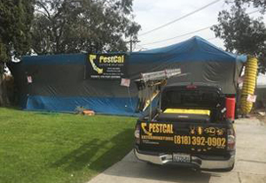 PestCal banner