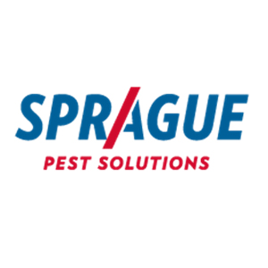 Sprague