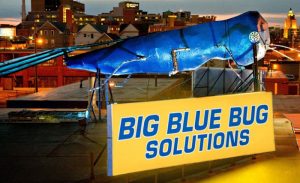 Photo: Big Blue Bug Solutions