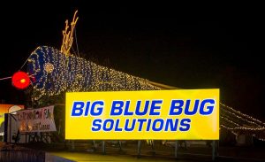 Photo: Big Blue Bug Solutions