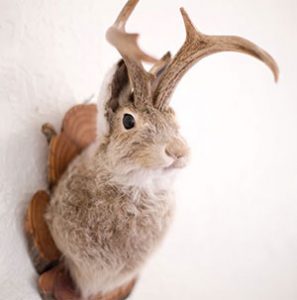 Photo: ©iStock.com/ paulrichstudio