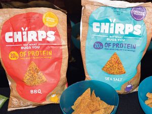 Cricket flour chips (Photo by Marty Whitford)