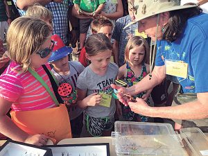 Dr. Jones teaches students at the Ohio Pest Management Association’s summer 2016 program, “Discovering Insects.” Photo: Dr. Susan Jones 