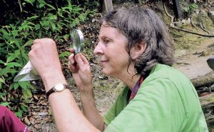 Dr. Jones collected termites in Malaysia in 2014. Photo: Dr. Susan Jones