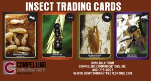 Trading Cards