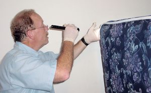 Gary Grossman, a district manager for Rose Pest Solutions, inspects a mattress for bed bugs. Photo: Mark Sheperdigian, BCE 