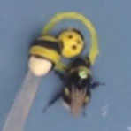 bumblebee-reward-study