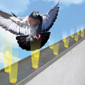 Optical Gel illustration. Illustration provided by Bird Barrier.