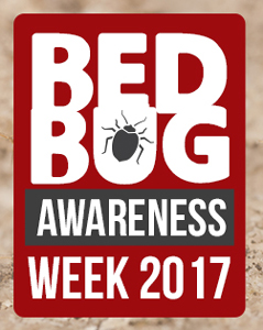 #BedBugWeek