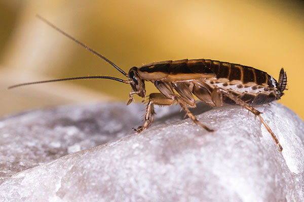 PHOTO: iStock.com/ErikKarits