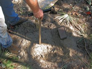 Soil sampling from a plot. Photo: USFS