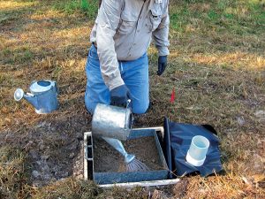 Treating a concrete slab plot.  Photo: USFS/Gary Alpert