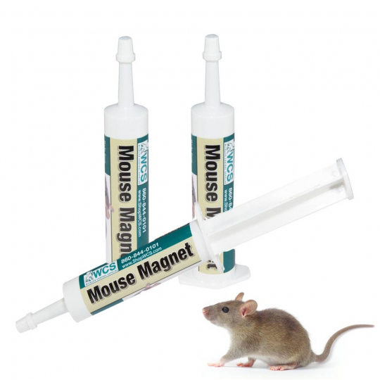 Photo: Mouse Magnet