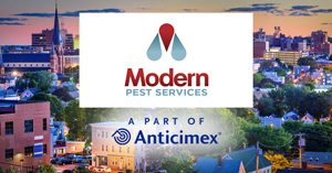 Modern Pest Anticimex