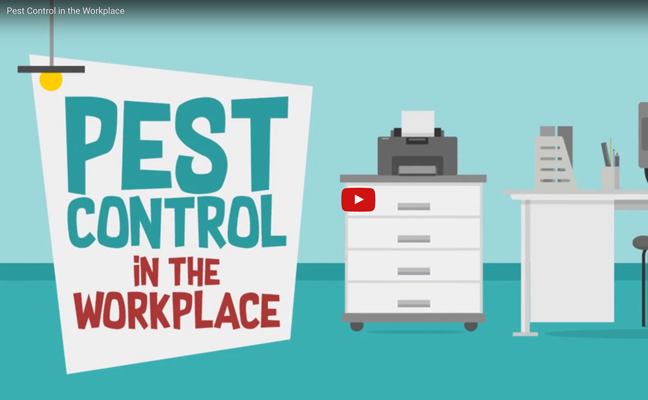 Workplace video