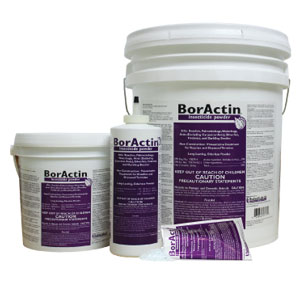 BorActin PHOTO: ROCKWELL LABS LLC