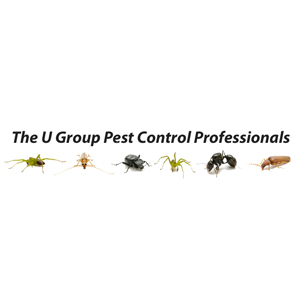 Logo: The U Group logo