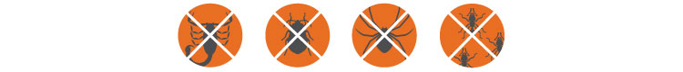 Bug illustrations. Image: Bayer.